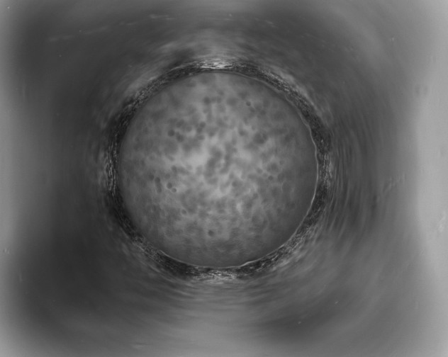 X0000094061446200710191053
