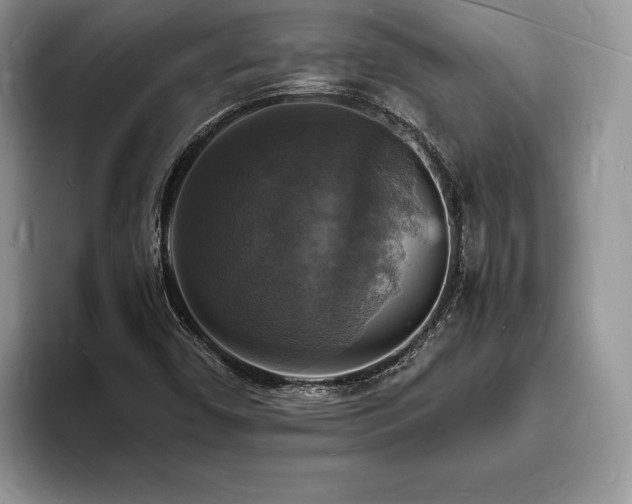 X0000094061450200710191053