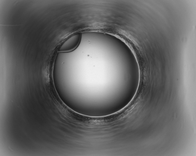 X0000094061451200710191053