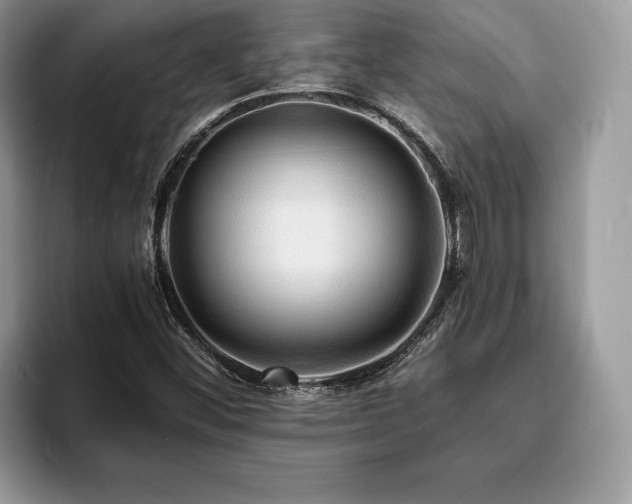 X0000094061452200710191052