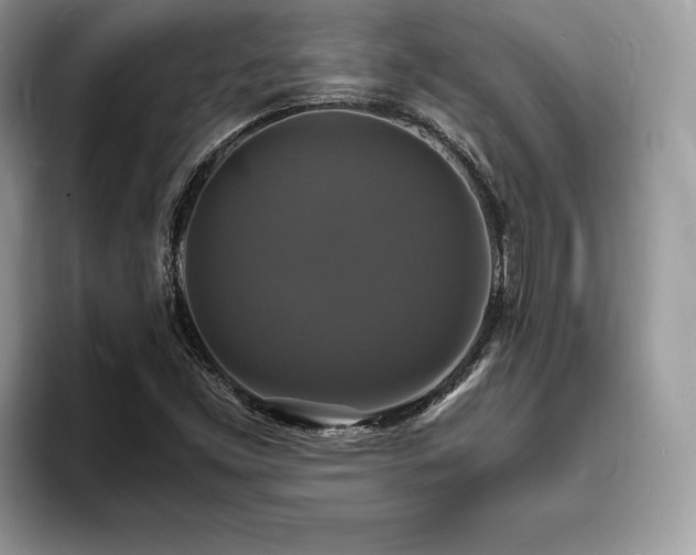 X0000094061453200710191052