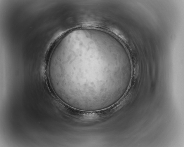 X0000094061454200710191052