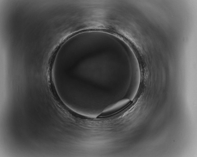 X0000094061455200710191052