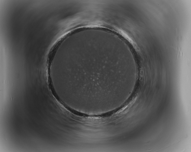 X0000094061456200710191052