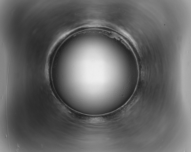 X0000094061464200710191052