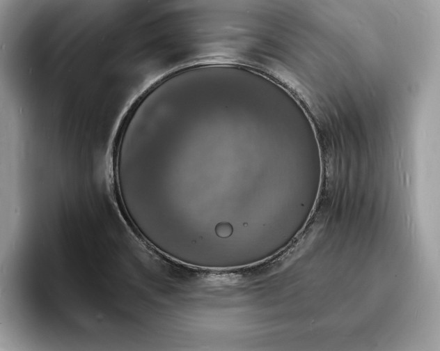 X0000094061466200710191052