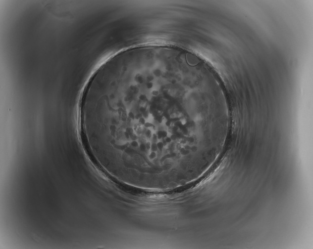 X0000094061467200710191052