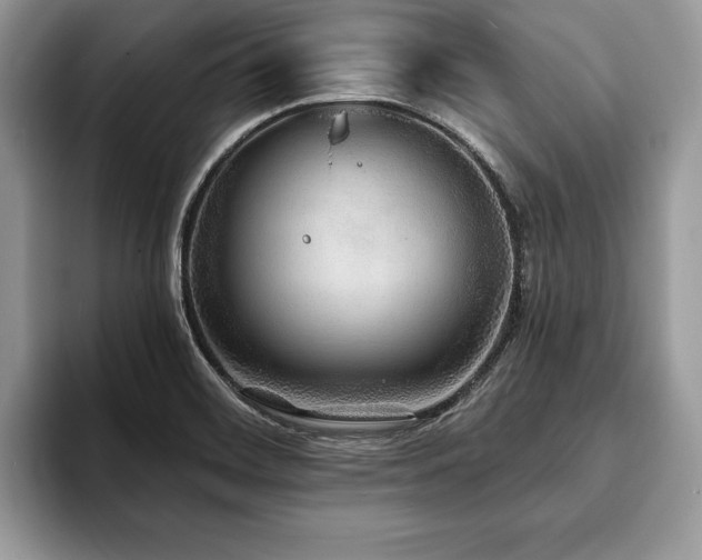 X0000094061468200710191052