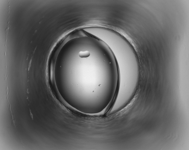 X0000094061469200710191052