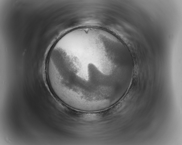 X0000094061470200710191052