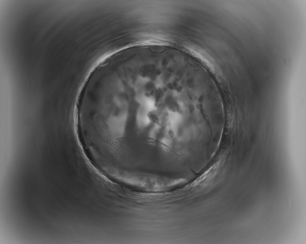 X0000094061471200710191052