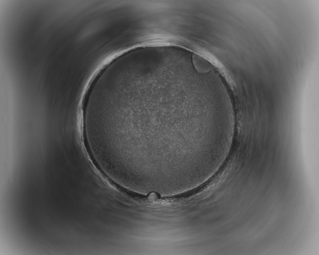 X0000094061472200710191052