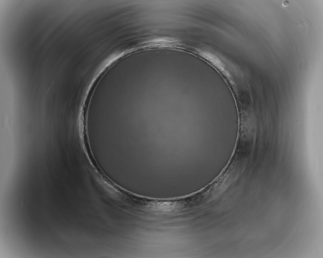 X0000094061474200710191052