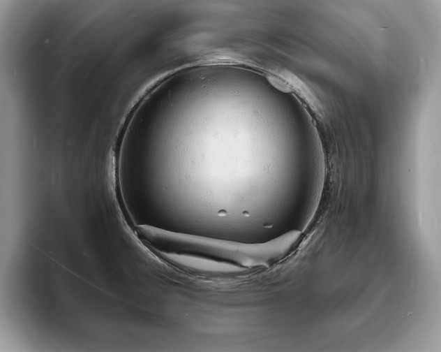 X0000094061476200710191052