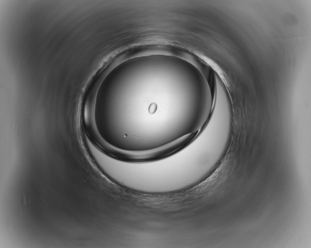 X0000094061477200710191052