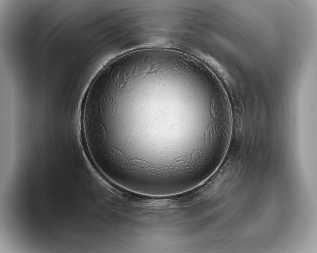 X0000094061479200710191052