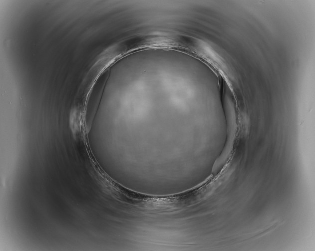 X0000094061481200710191052