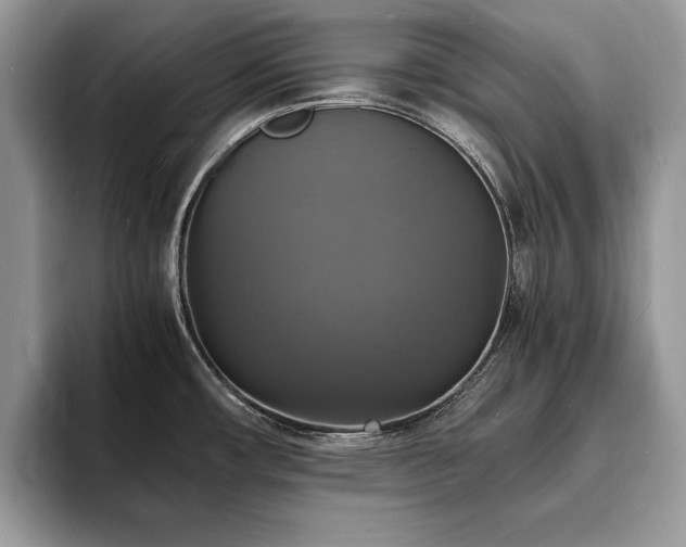 X0000094061482200710191052