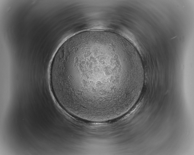 X0000094061483200710191052