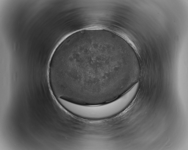 X0000094061484200710191052
