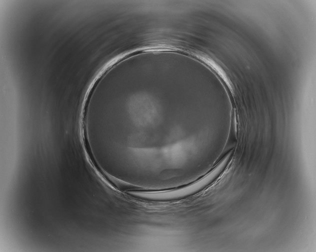 X0000094061485200710191052