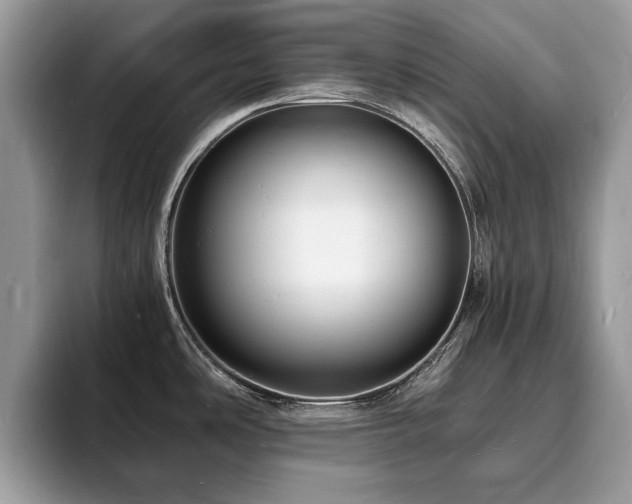 X0000094061486200710191052