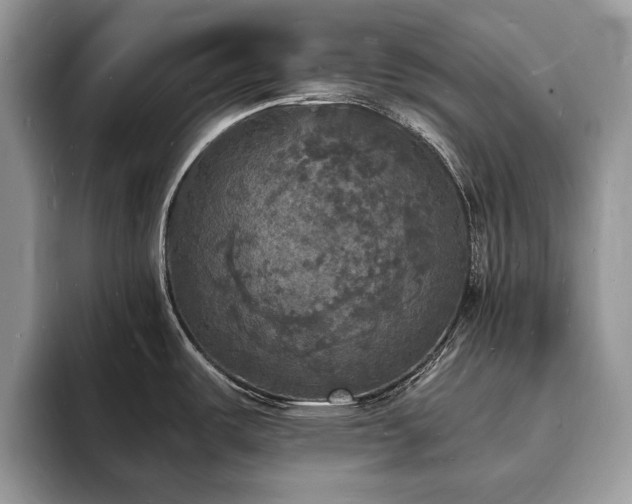 X0000094061487200710191052