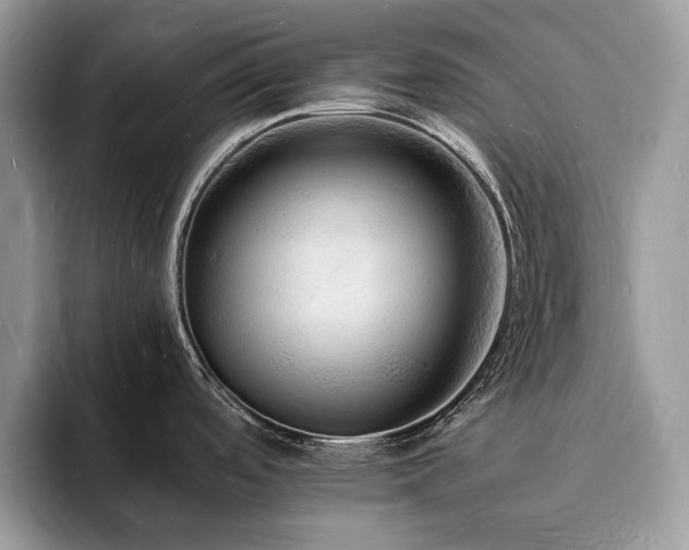X0000094061488200710191052