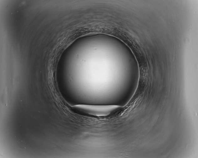 X0000094061489200710191052