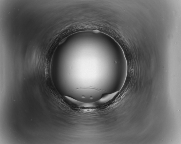 X0000094061490200710191052
