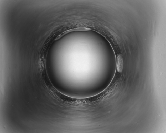 X0000094061491200710191052
