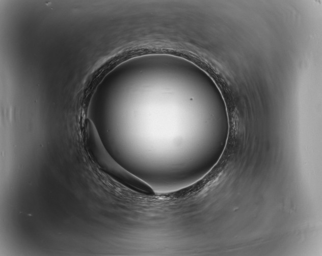X0000094061494200710191052