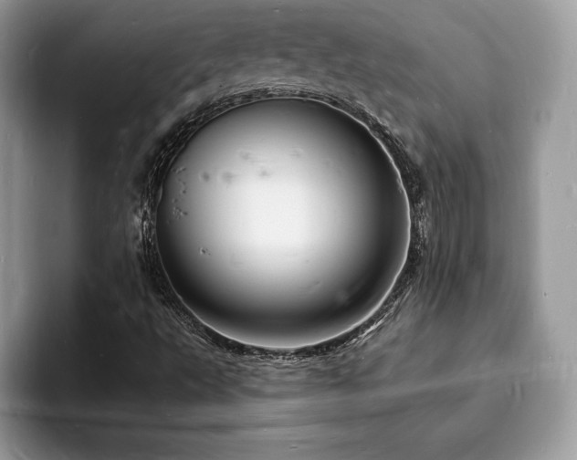 X0000094061495200710191052