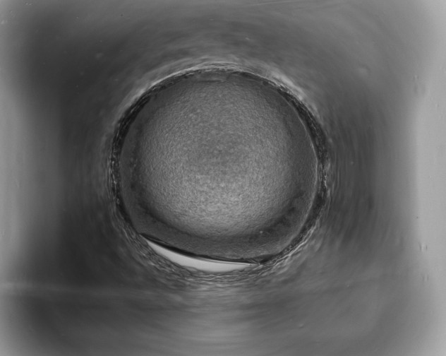 X0000094061496200710191052