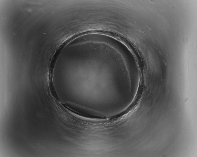 X0000094061497200710191052
