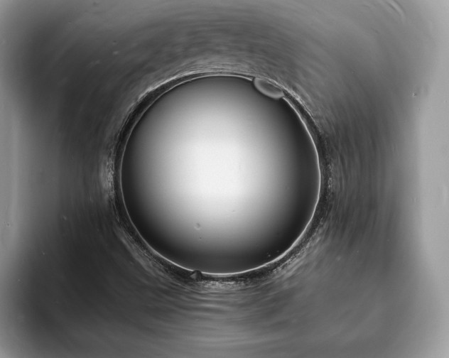 X0000094061499200710191052