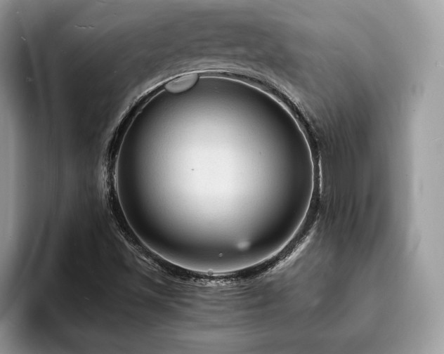 X0000094061501200710191052