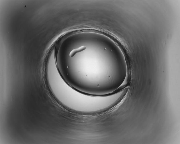 X0000094061502200710191052