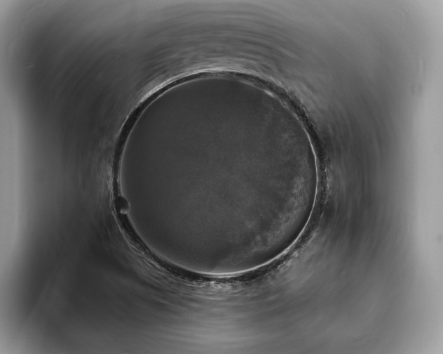 X0000094061505200710191052