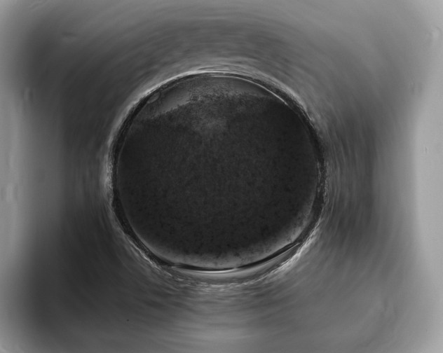 X0000094061506200710191052
