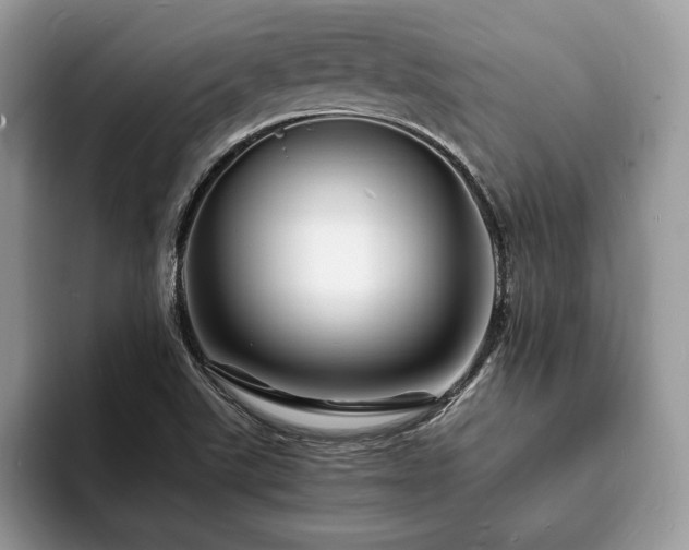X0000094061507200710191052