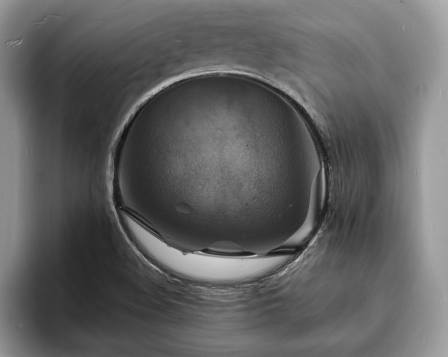 X0000094061508200710191052