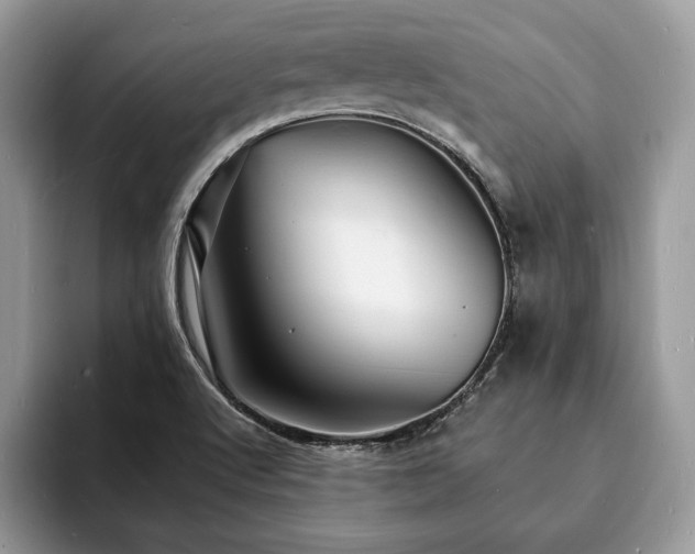X0000094061512200710191052