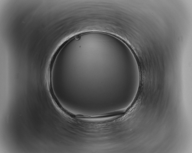X0000094061515200710191052