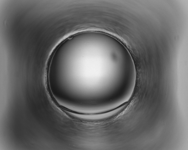 X0000094061518200710191052