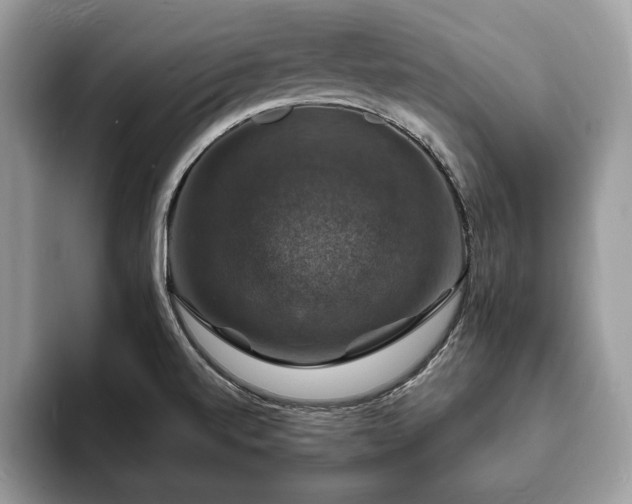 X0000094061520200710191052