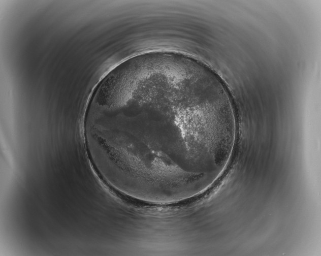 X0000094061521200710191052
