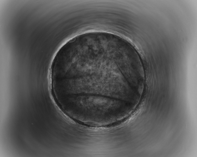 X0000094061522200710191052
