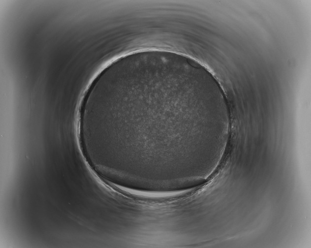X0000094061523200710191052