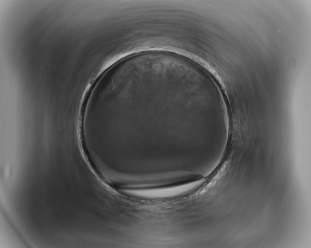 X0000094061525200710191052